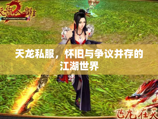 天龙私服，怀旧与争议并存的江湖世界