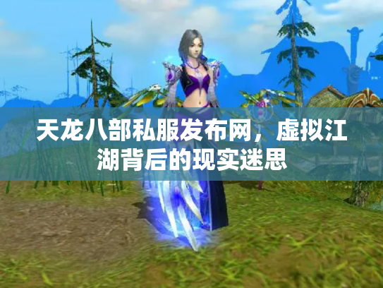 天龙八部私服发布网，虚拟江湖背后的现实迷思