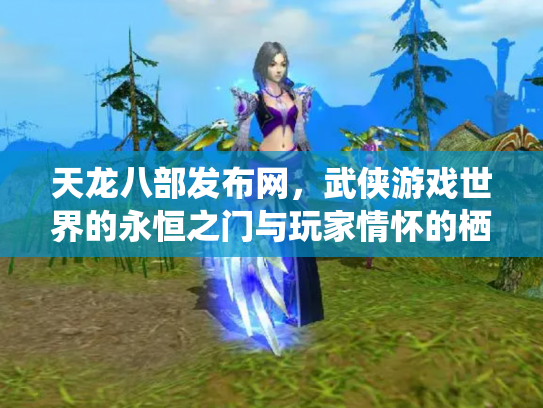 天龙八部发布网，武侠游戏世界的永恒之门与玩家情怀的栖息地