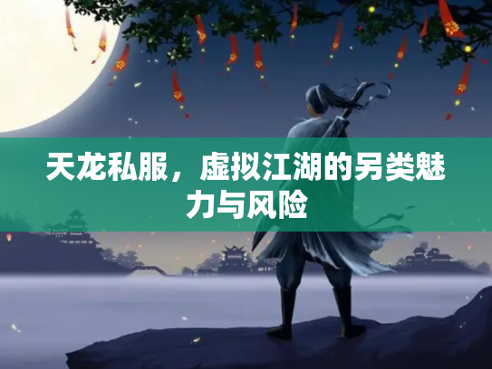 天龙私服，虚拟江湖的另类魅力与风险