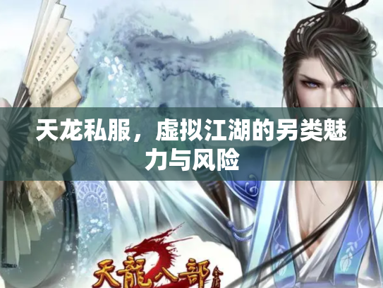 天龙私服，虚拟江湖的另类魅力与风险