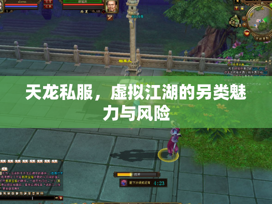 天龙私服，虚拟江湖的另类魅力与风险