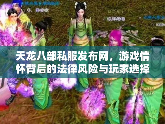 天龙八部私服发布网，游戏情怀背后的法律风险与玩家选择