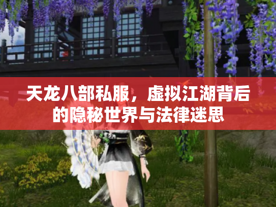 天龙八部私服，虚拟江湖背后的隐秘世界与法律迷思