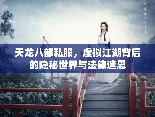 天龙八部私服，虚拟江湖背后的隐秘世界与法律迷思