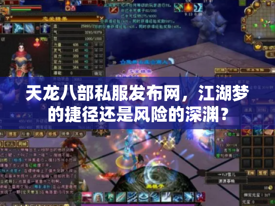 天龙八部私服发布网，江湖梦的捷径还是风险的深渊？