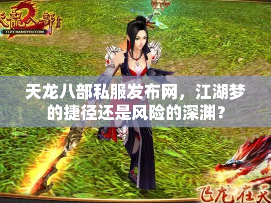 天龙八部私服发布网，江湖梦的捷径还是风险的深渊？
