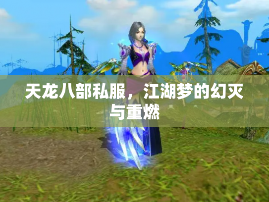 天龙八部私服，江湖梦的幻灭与重燃