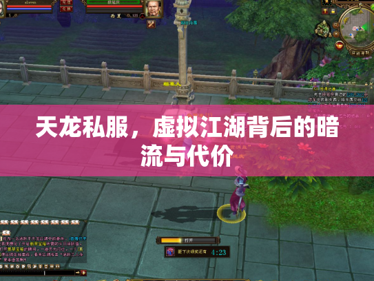 天龙私服，虚拟江湖背后的暗流与代价