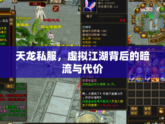 天龙私服，虚拟江湖背后的暗流与代价