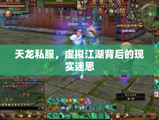 天龙私服，虚拟江湖背后的现实迷思