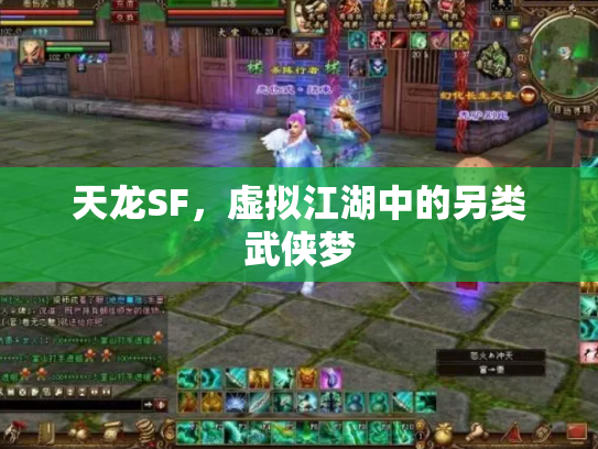 天龙SF，虚拟江湖中的另类武侠梦