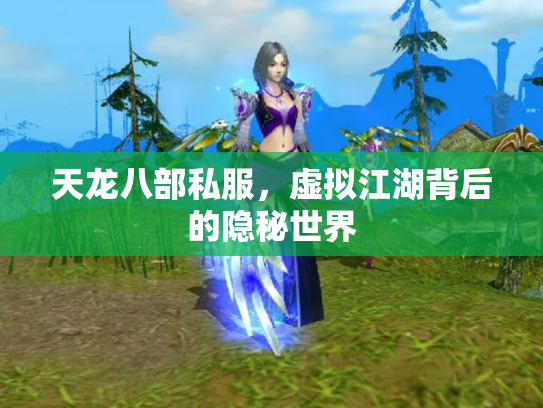 天龙八部私服，虚拟江湖背后的隐秘世界