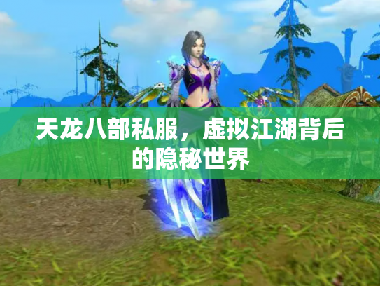 天龙八部私服，虚拟江湖背后的隐秘世界