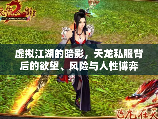 虚拟江湖的暗影，天龙私服背后的欲望、风险与人性博弈