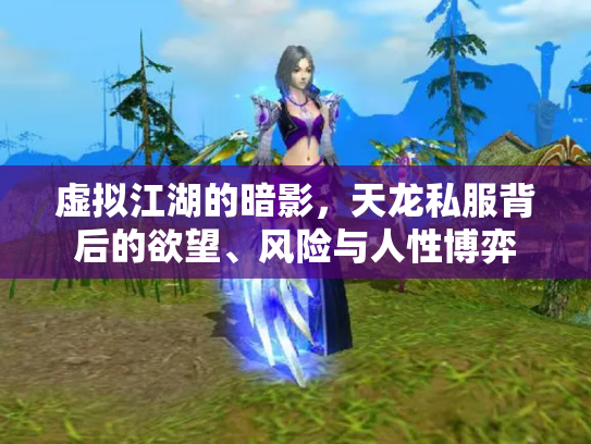 虚拟江湖的暗影，天龙私服背后的欲望、风险与人性博弈