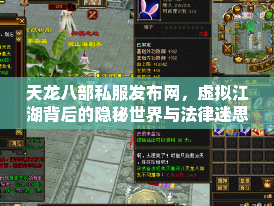 天龙八部私服发布网，虚拟江湖背后的隐秘世界与法律迷思