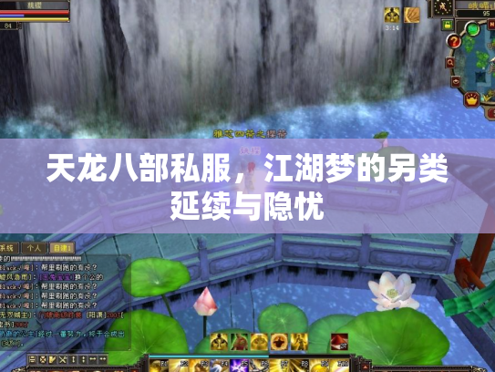 天龙八部私服，江湖梦的另类延续与隐忧