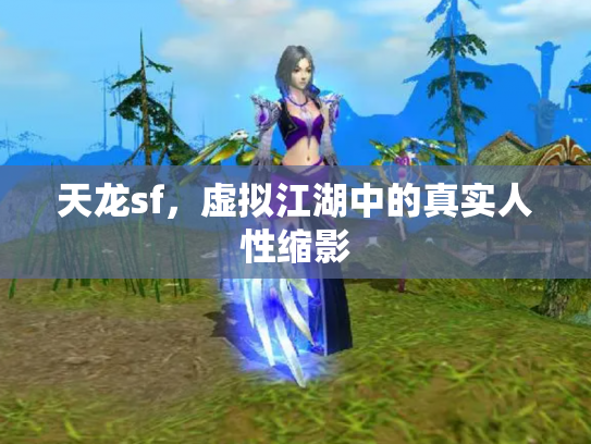 天龙sf，虚拟江湖中的真实人性缩影