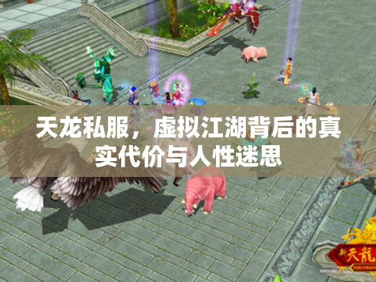 天龙私服，虚拟江湖背后的真实代价与人性迷思