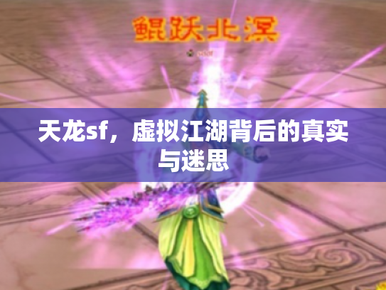 天龙sf，虚拟江湖背后的真实与迷思