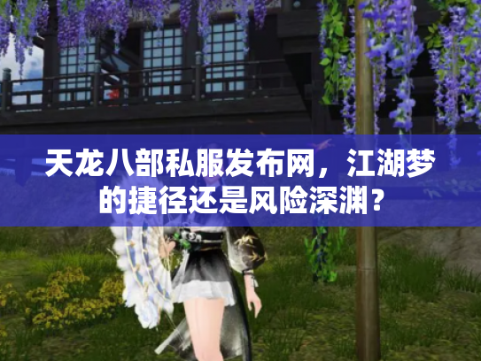 天龙八部私服发布网，江湖梦的捷径还是风险深渊？