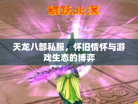 天龙八部私服，怀旧情怀与游戏生态的博弈