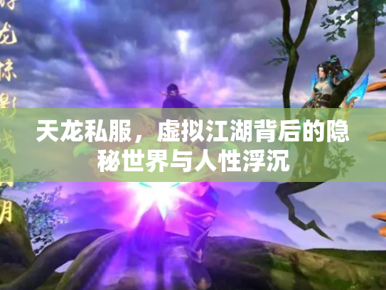 天龙私服，虚拟江湖背后的隐秘世界与人性浮沉