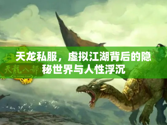 天龙私服，虚拟江湖背后的隐秘世界与人性浮沉