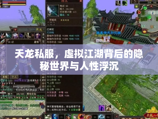 天龙私服，虚拟江湖背后的隐秘世界与人性浮沉