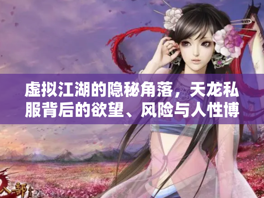 虚拟江湖的隐秘角落，天龙私服背后的欲望、风险与人性博弈