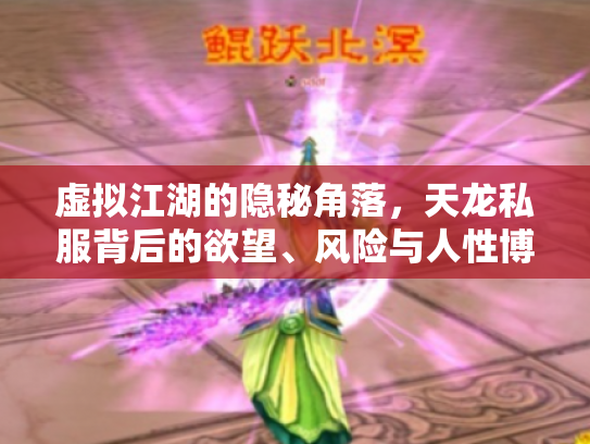 虚拟江湖的隐秘角落，天龙私服背后的欲望、风险与人性博弈