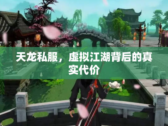 天龙私服，虚拟江湖背后的真实代价