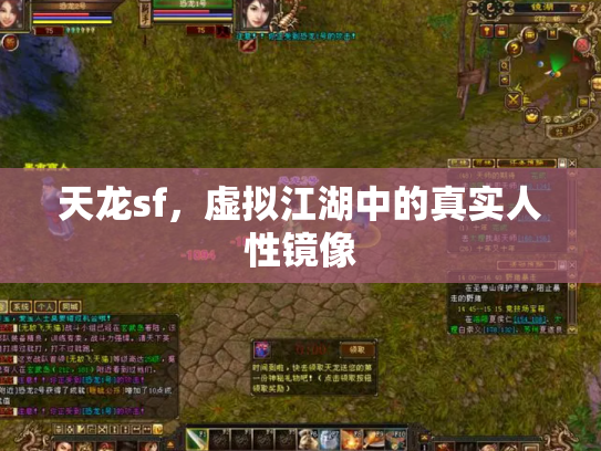 天龙sf，虚拟江湖中的真实人性镜像
