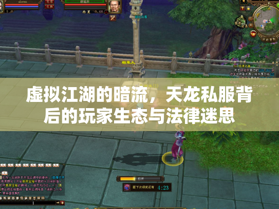 虚拟江湖的暗流，天龙私服背后的玩家生态与法律迷思