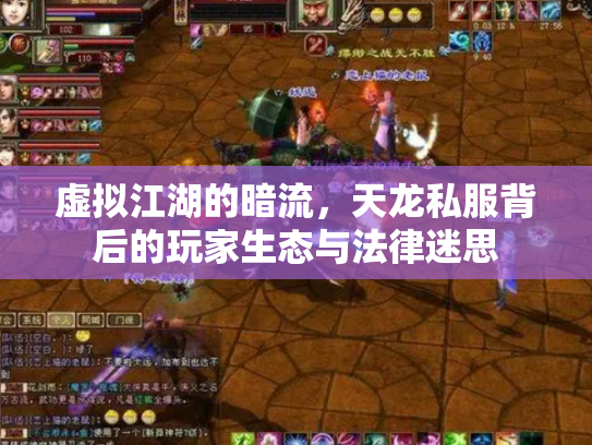 虚拟江湖的暗流，天龙私服背后的玩家生态与法律迷思