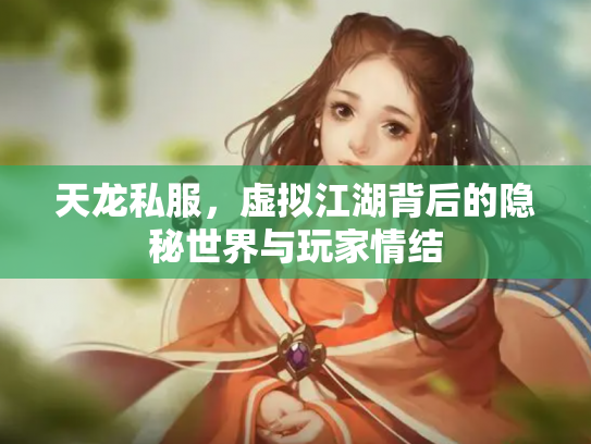 天龙私服，虚拟江湖背后的隐秘世界与玩家情结