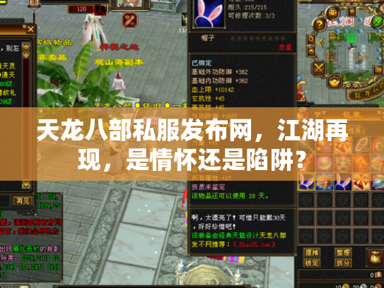 天龙八部私服发布网，江湖再现，是情怀还是陷阱？