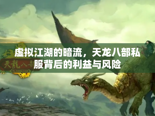 虚拟江湖的暗流，天龙八部私服背后的利益与风险