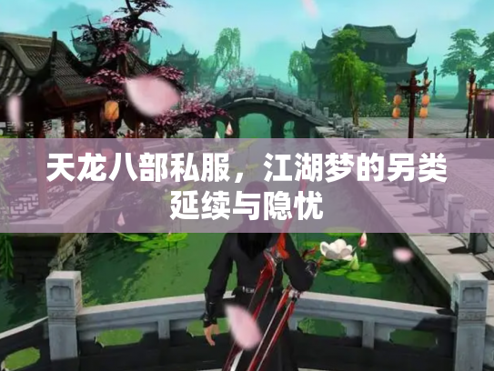 天龙八部私服，江湖梦的另类延续与隐忧
