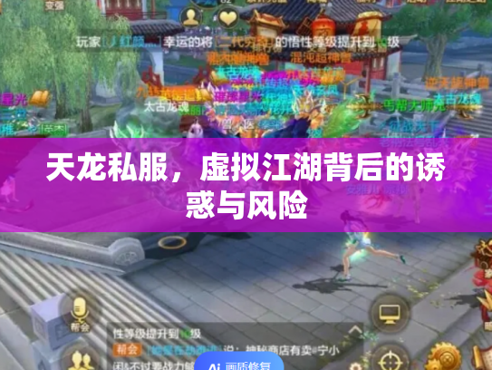 天龙私服，虚拟江湖背后的诱惑与风险