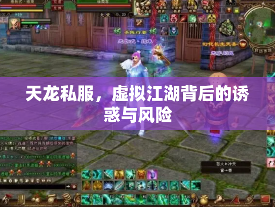 天龙私服，虚拟江湖背后的诱惑与风险