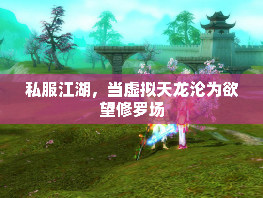 私服江湖，当虚拟天龙沦为欲望修罗场