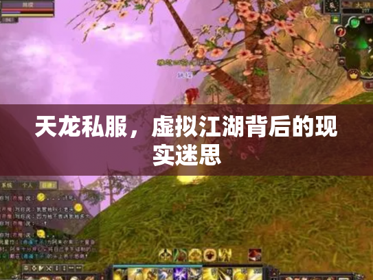 天龙私服，虚拟江湖背后的现实迷思