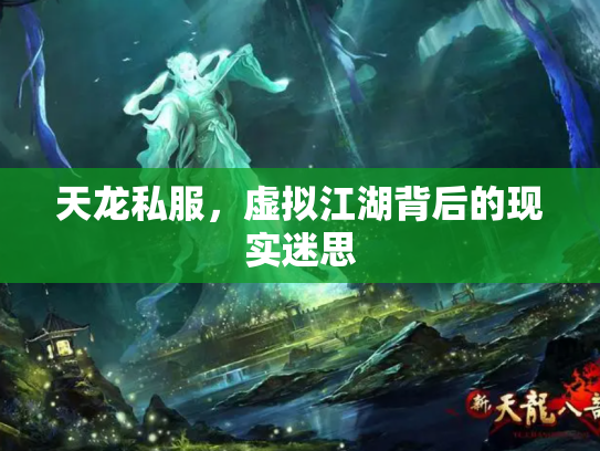 天龙私服，虚拟江湖背后的现实迷思