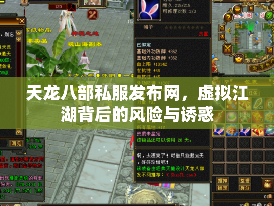 天龙八部私服发布网，虚拟江湖背后的风险与诱惑