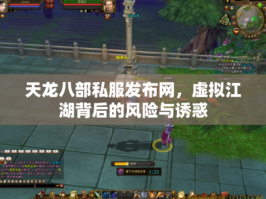 天龙八部私服发布网，虚拟江湖背后的风险与诱惑