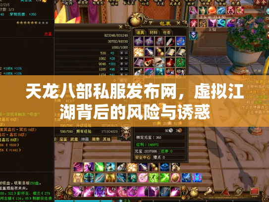 天龙八部私服发布网，虚拟江湖背后的风险与诱惑