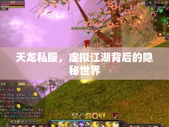 天龙私服，虚拟江湖背后的隐秘世界