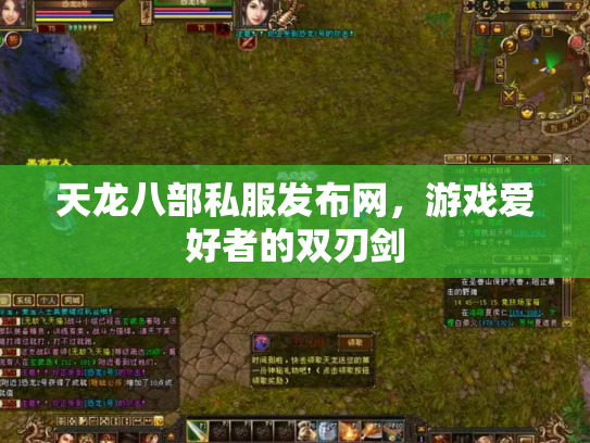 天龙八部私服发布网，游戏爱好者的双刃剑